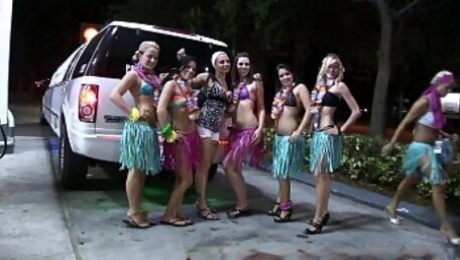girls showing pussy and tits in hula skirts