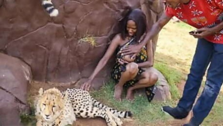 Wild African Car Sex In Safari Park