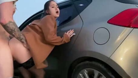 Picked up babe gets fucked by the car