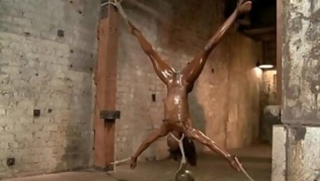 Oiled ebony in inverted bondage toyed