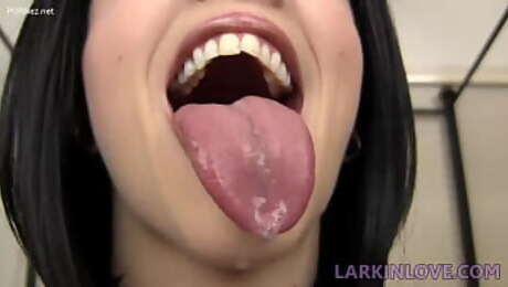 Larkin Love - Licking Your Face